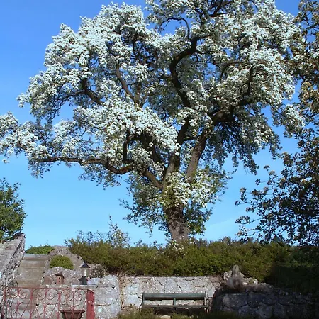 Rabenlehen Weistrach